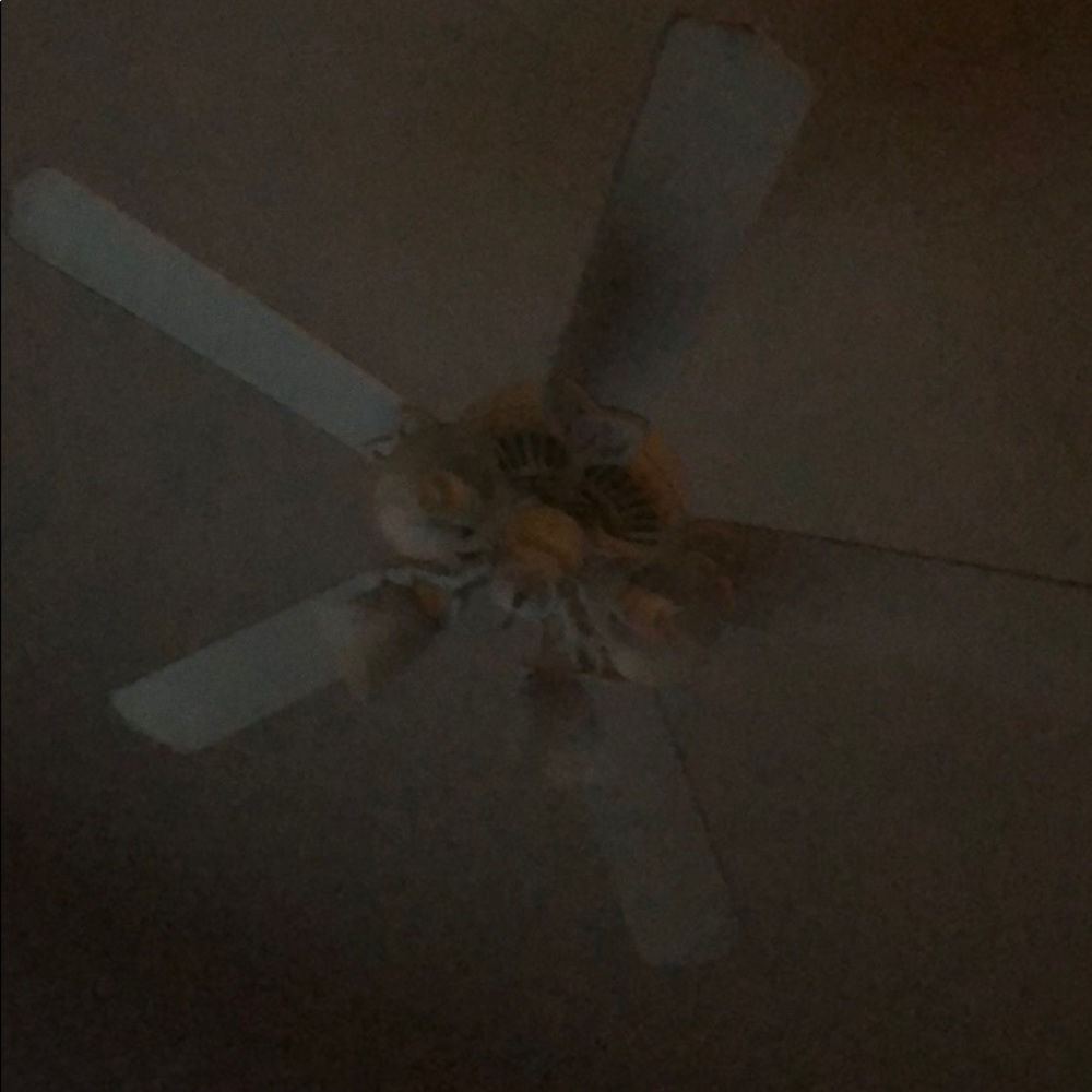 Meet your Posher, Wilman